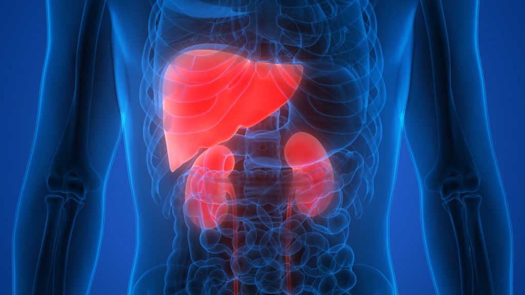 糖尿病性腎症の患者の看護（症状・治療方法・看護計画・注意点・スキル）について