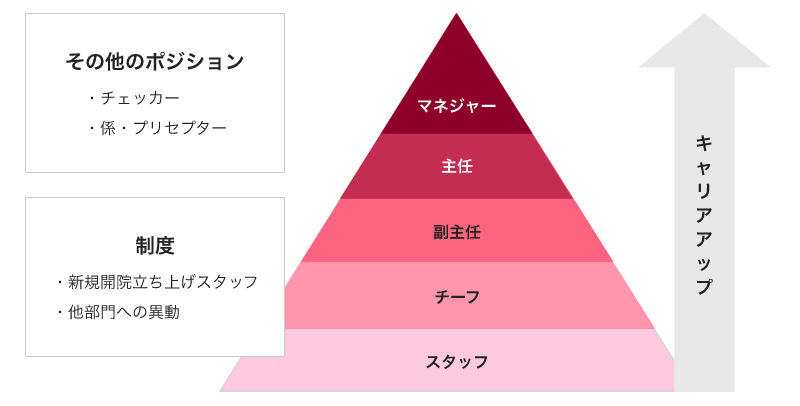 キャリア制度　SCBメディカルグループ