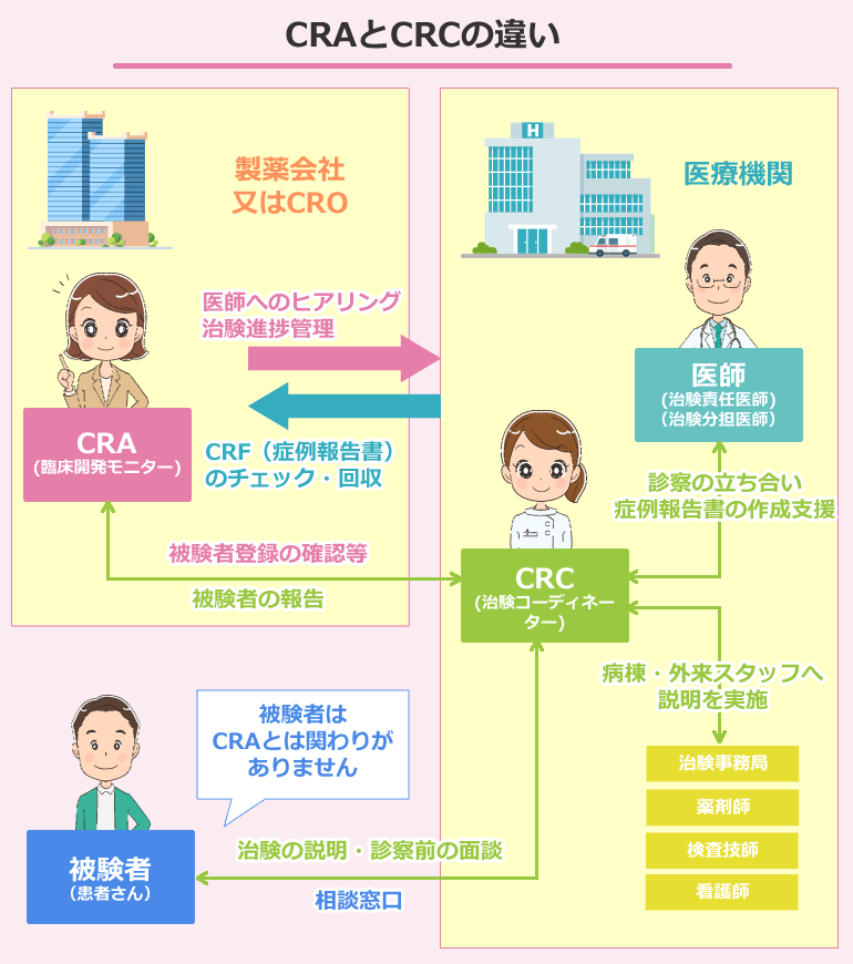 CRA（臨床開発モニター）とCRC（治験コーディネーター）の違い