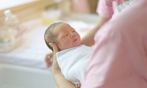 生命誕生の瞬間に立ち会うことができる
